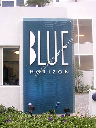 blue horizon buckeye